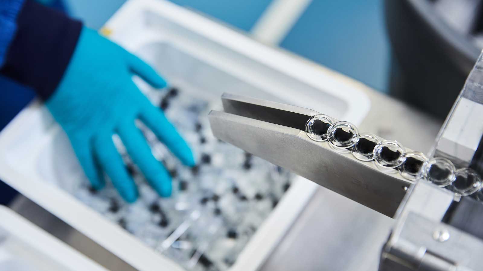 Production in Australia